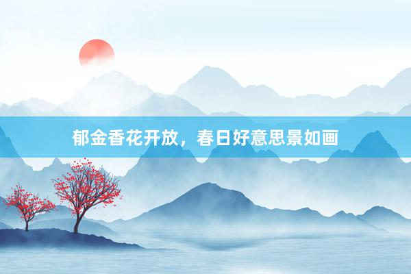 郁金香花开放，春日好意思景如画