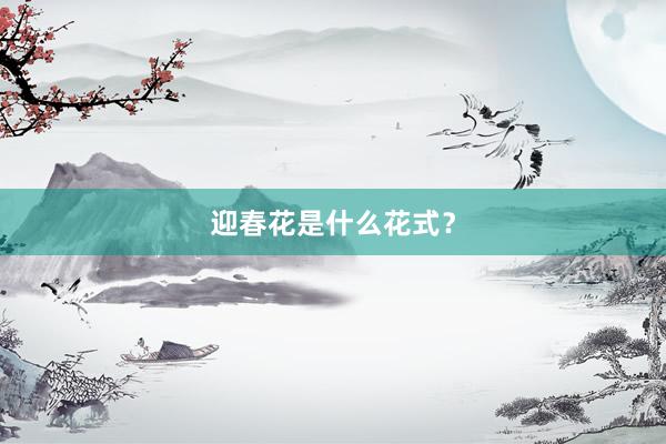 迎春花是什么花式？