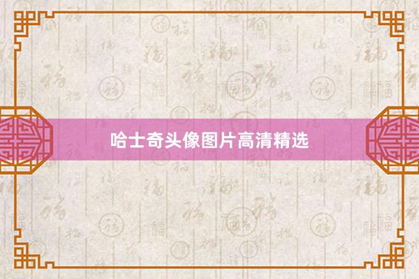 哈士奇头像图片高清精选