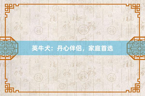 英牛犬：丹心伴侣，家庭首选